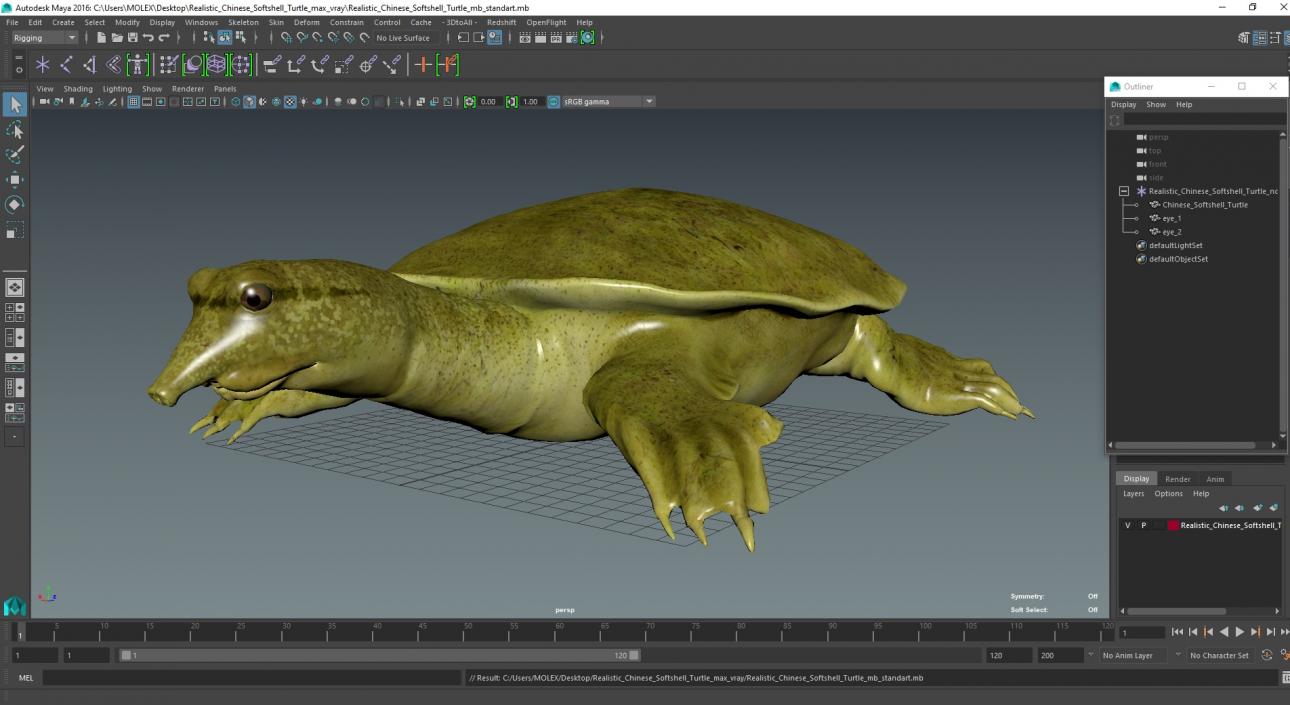 Realistic Chinese Softshell Turtle 3D model