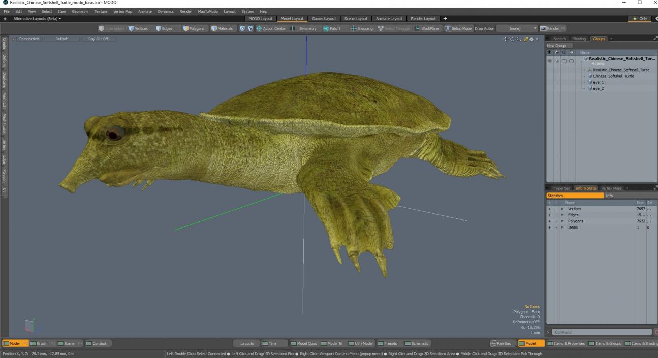 Realistic Chinese Softshell Turtle 3D model