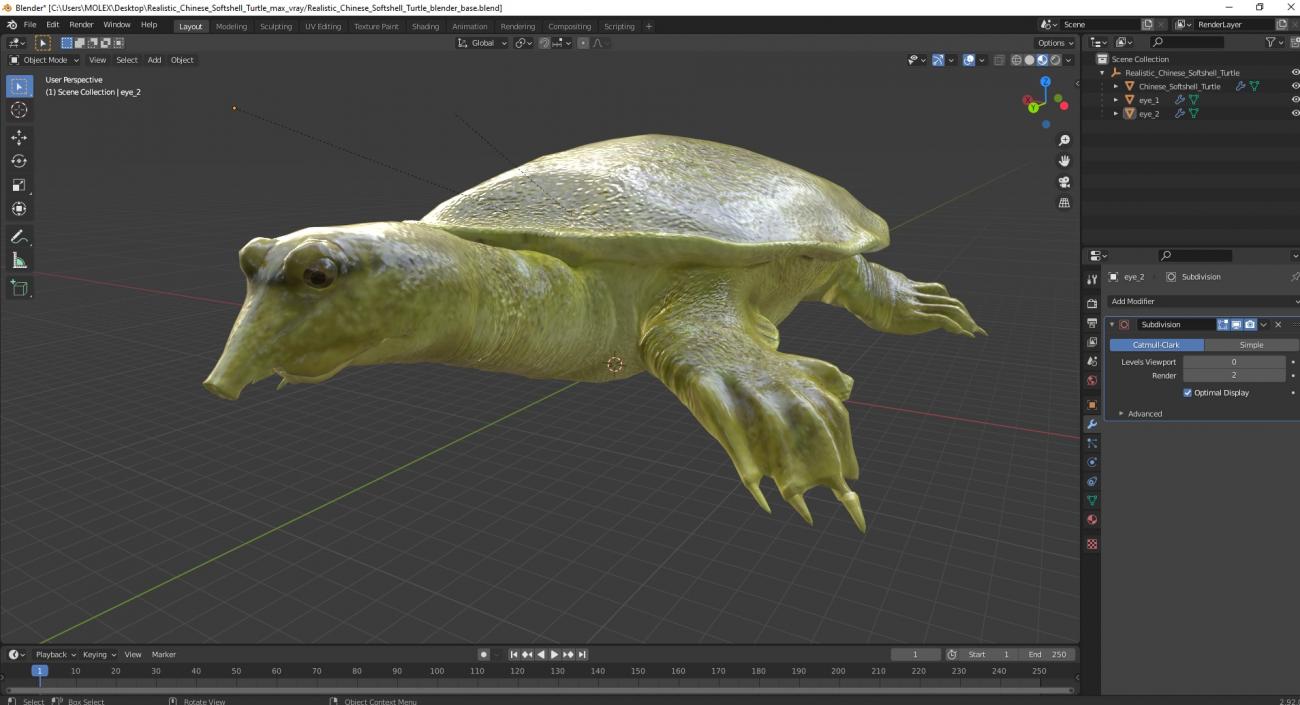 Realistic Chinese Softshell Turtle 3D model