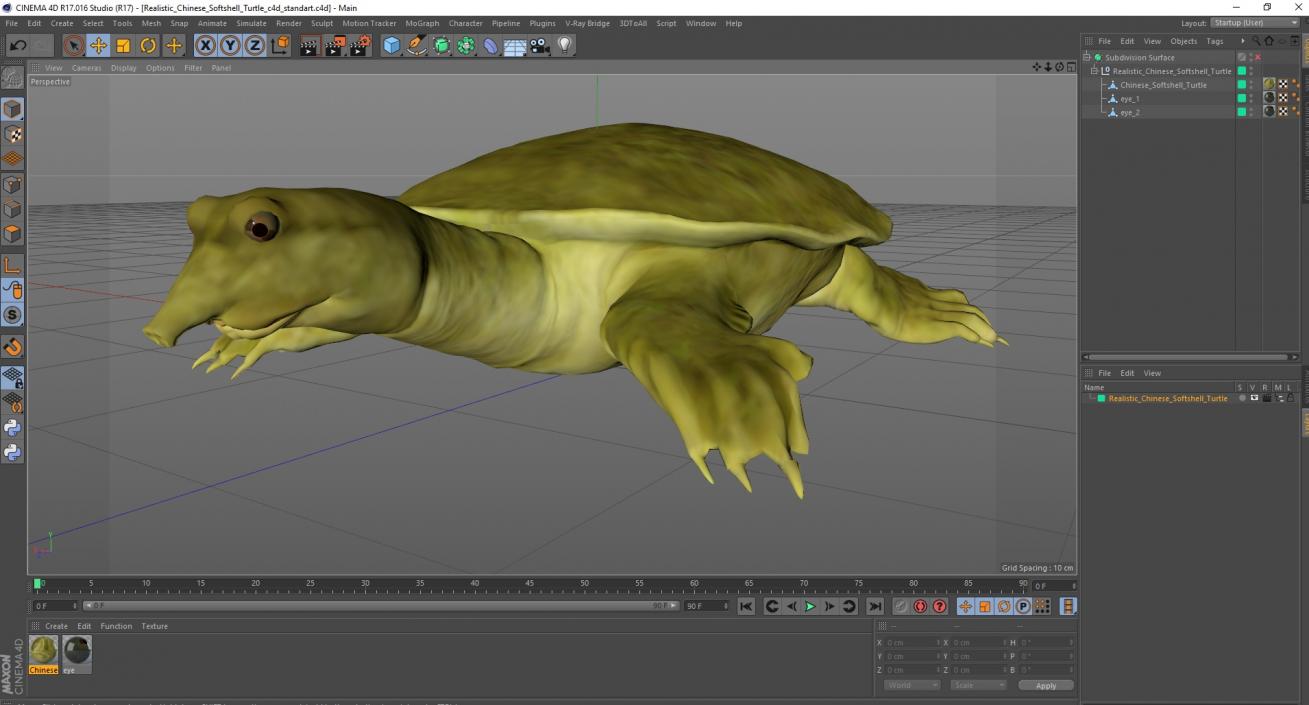 Realistic Chinese Softshell Turtle 3D model