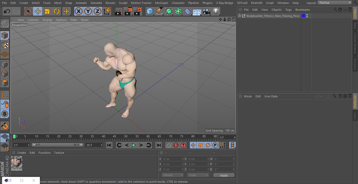 3D Bodybuilder Fitness Man Flexing Pose