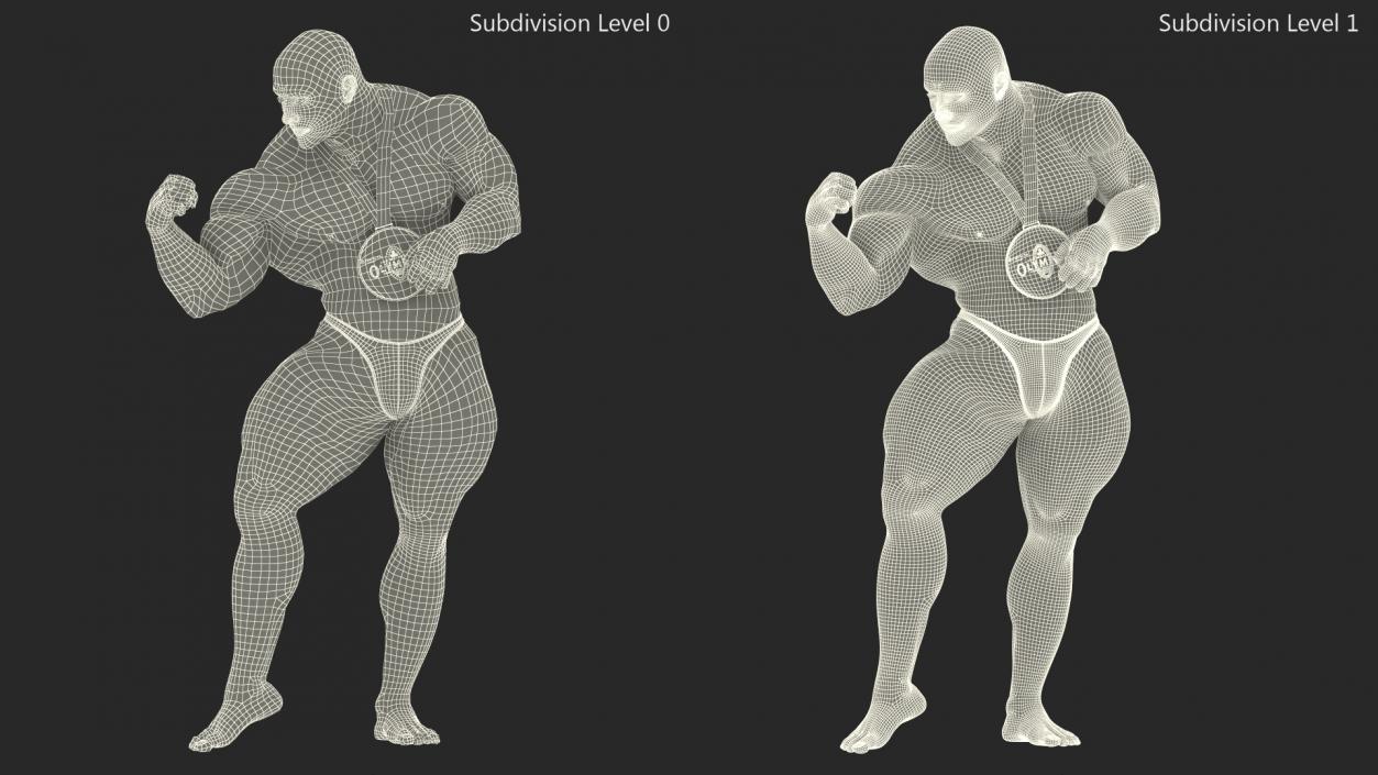 3D Bodybuilder Fitness Man Flexing Pose