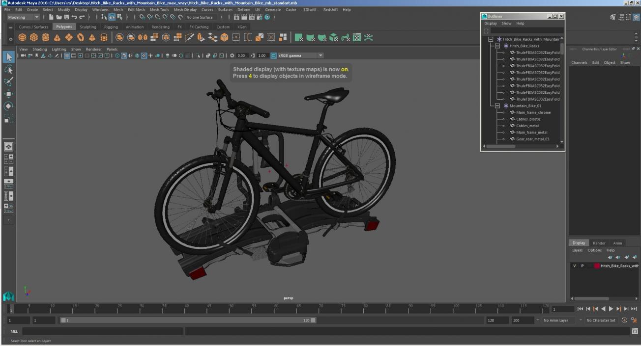 3D model Hitch Bike Racks with Mountain Bike