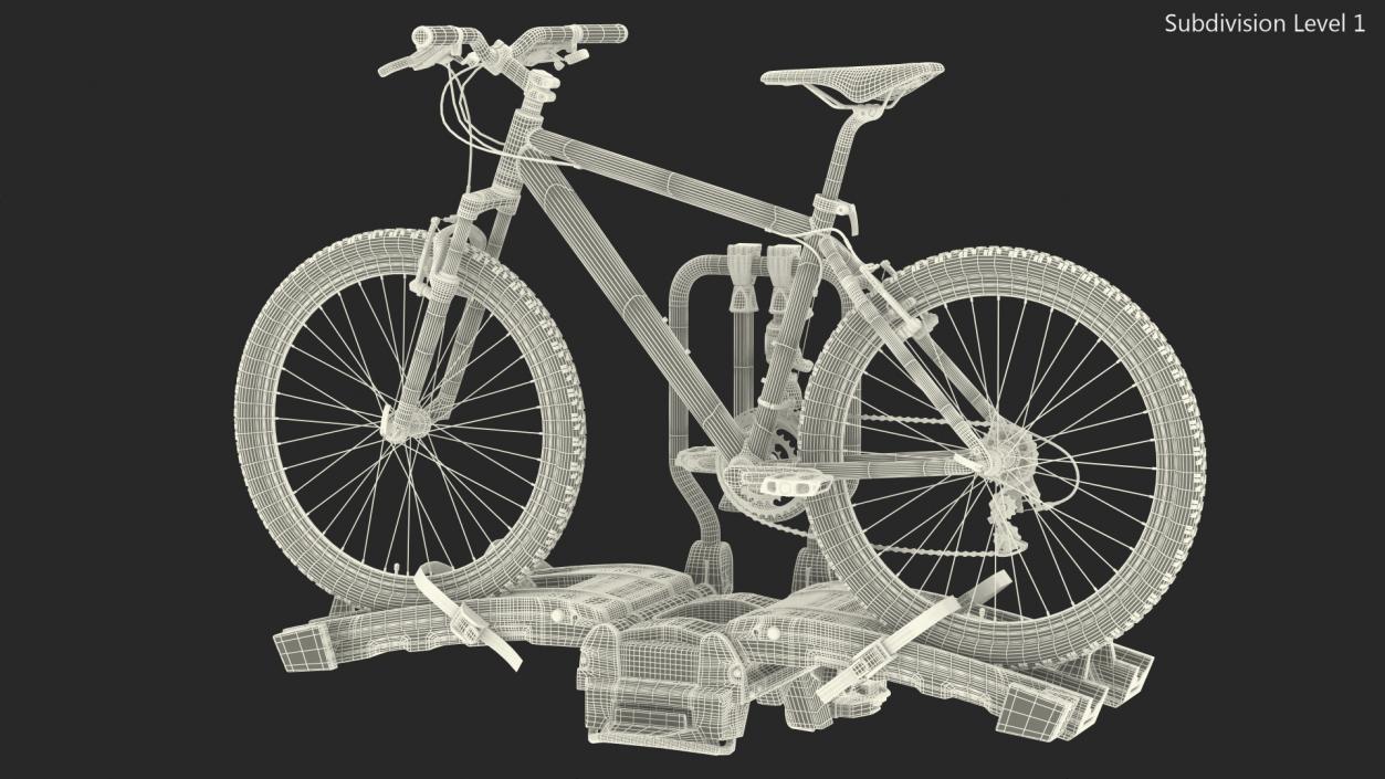 3D model Hitch Bike Racks with Mountain Bike