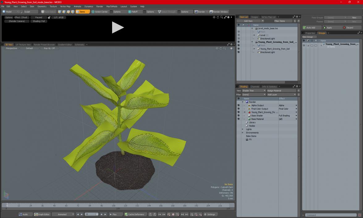 Young Plant Growing from Soil 3D model