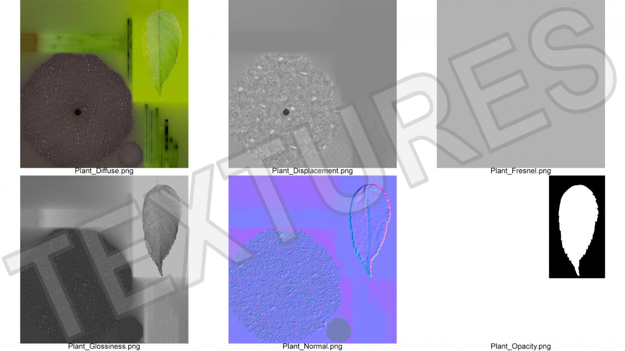 Young Plant Growing from Soil 3D model