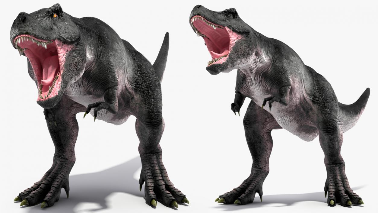 Rigged Dinosaurs Collection 8 3D model