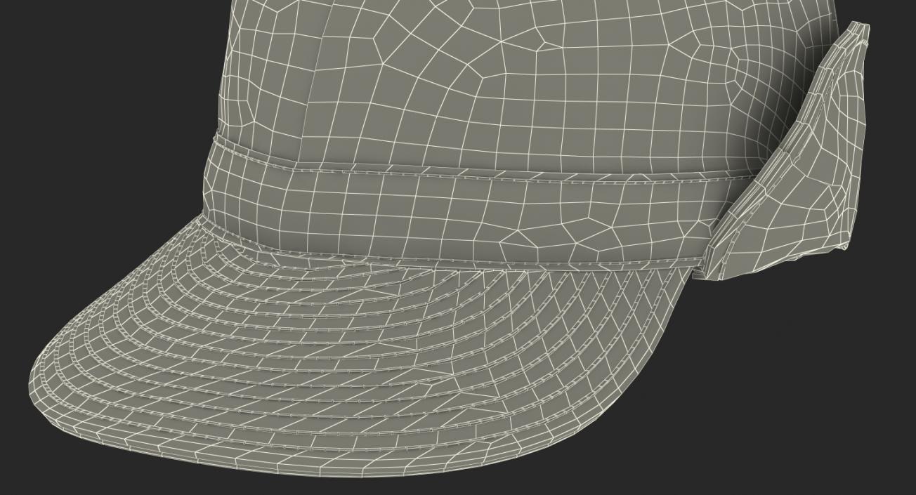 Field Hat Camo 3D model