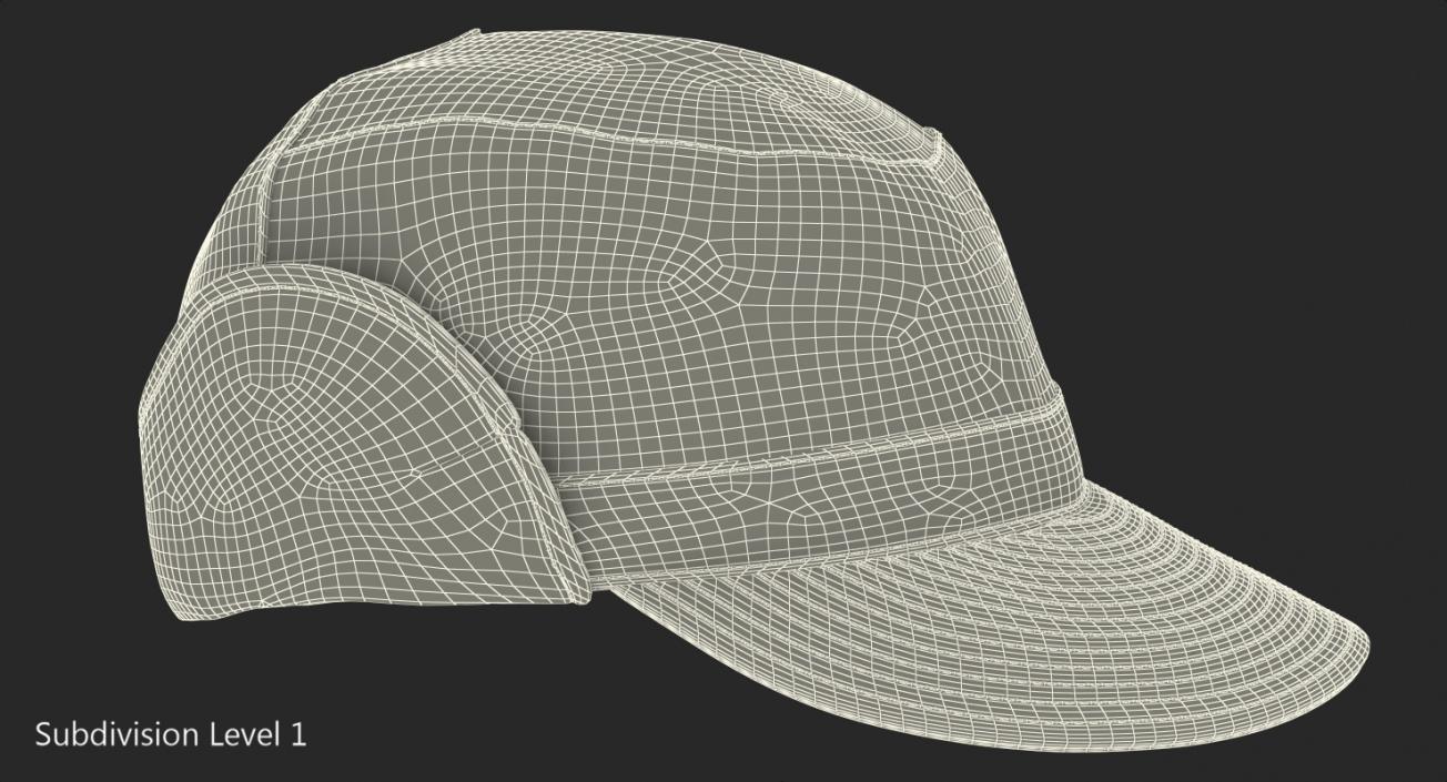 Field Hat Camo 3D model