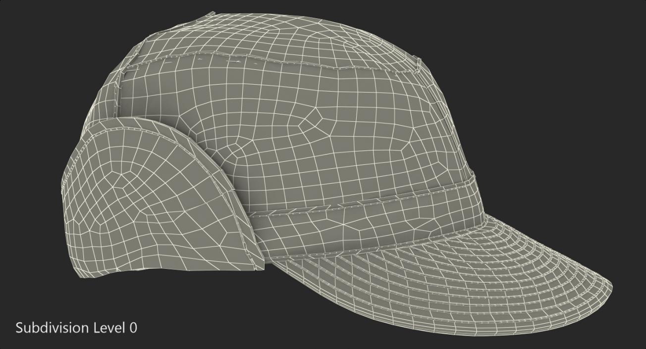 Field Hat Camo 3D model