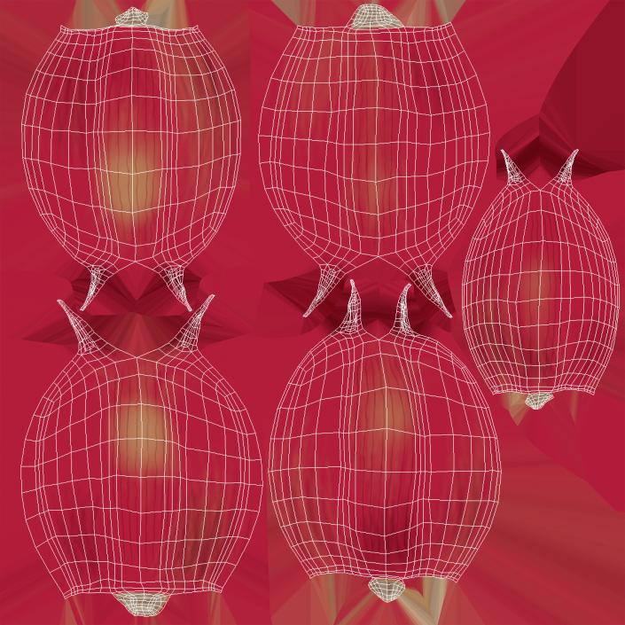 Five Garlic Cloves Red 3D