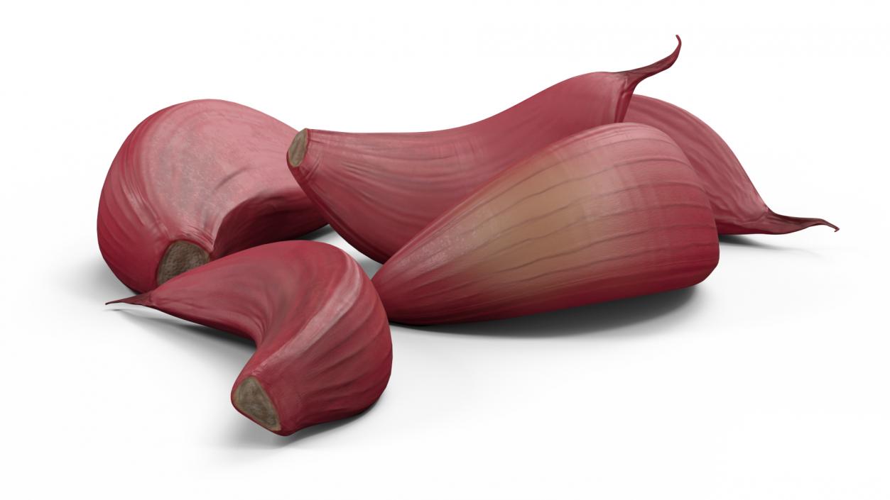 Five Garlic Cloves Red 3D