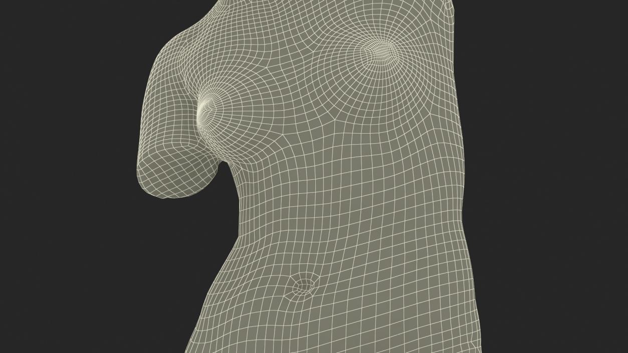 Statue of Venus de Milo Plaster for 3D Print 3D model