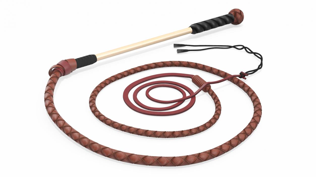 Braided Leather Bullwhip Coiled Brown 2 3D model