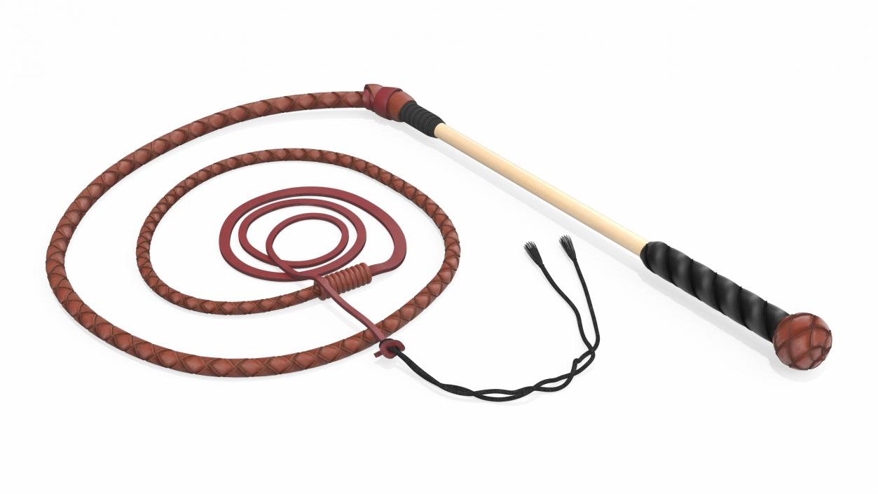 Braided Leather Bullwhip Coiled Brown 2 3D model