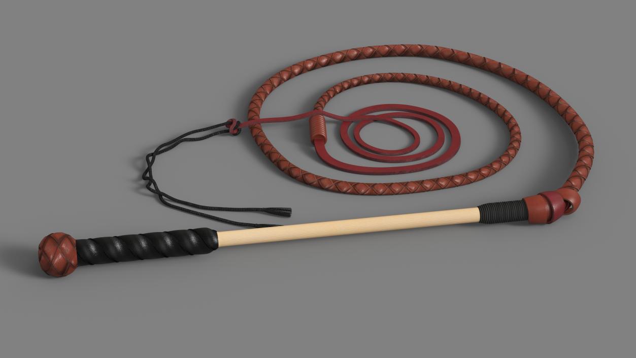 Braided Leather Bullwhip Coiled Brown 2 3D model