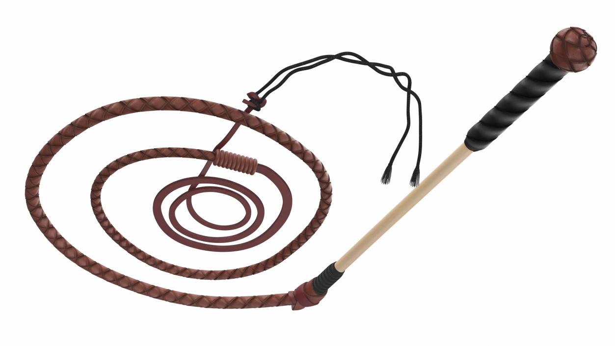 Braided Leather Bullwhip Coiled Brown 2 3D model