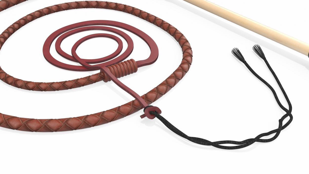 Braided Leather Bullwhip Coiled Brown 2 3D model