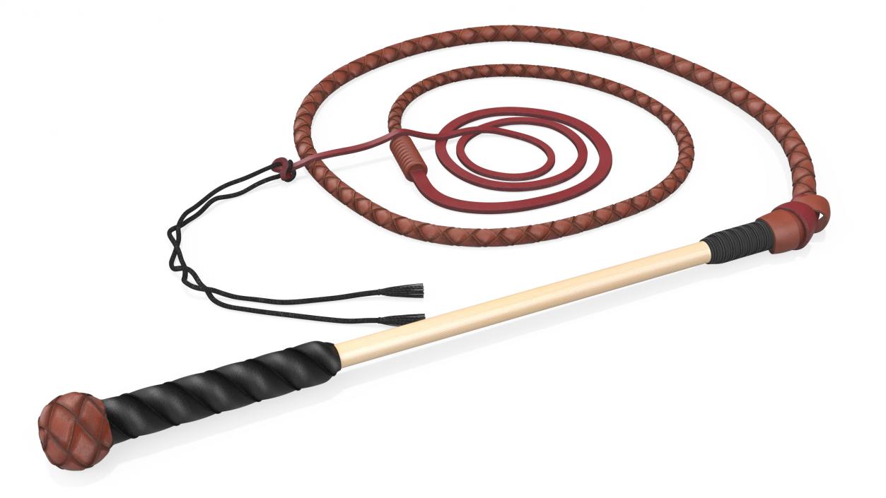 Braided Leather Bullwhip Coiled Brown 2 3D model