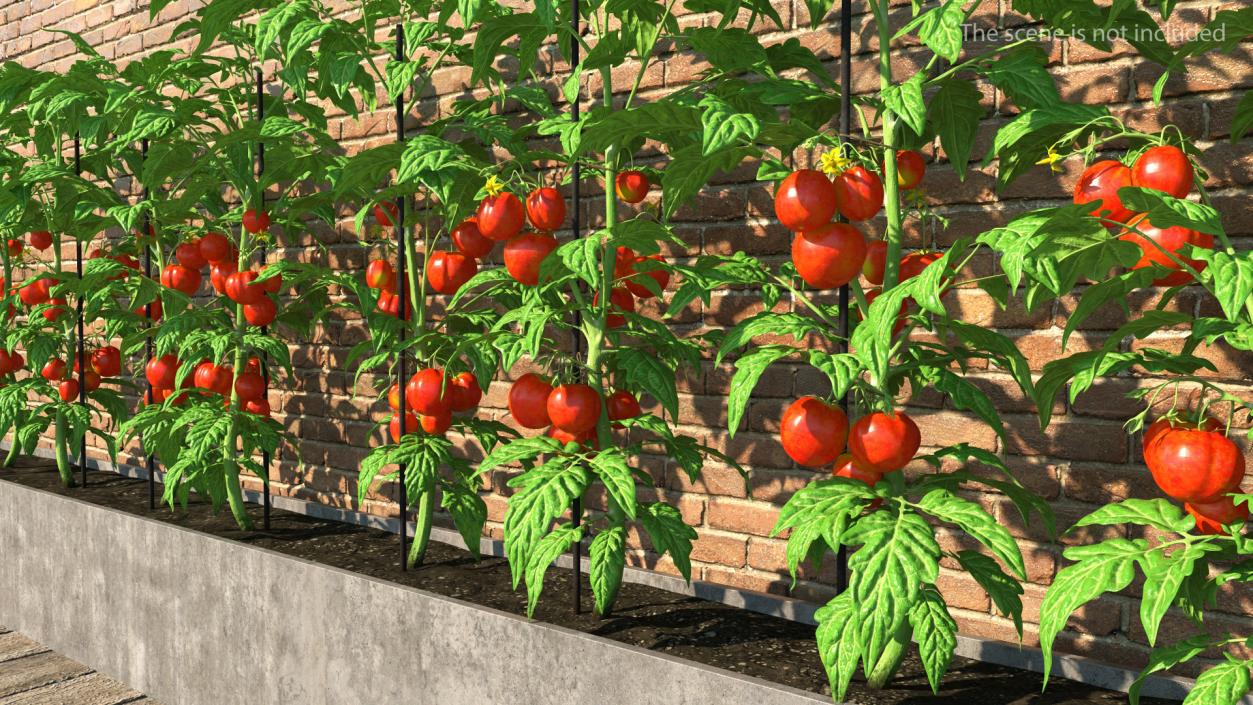 3D Gardening Lady with Greenhouse Collection