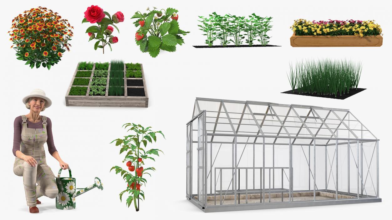 3D Gardening Lady with Greenhouse Collection