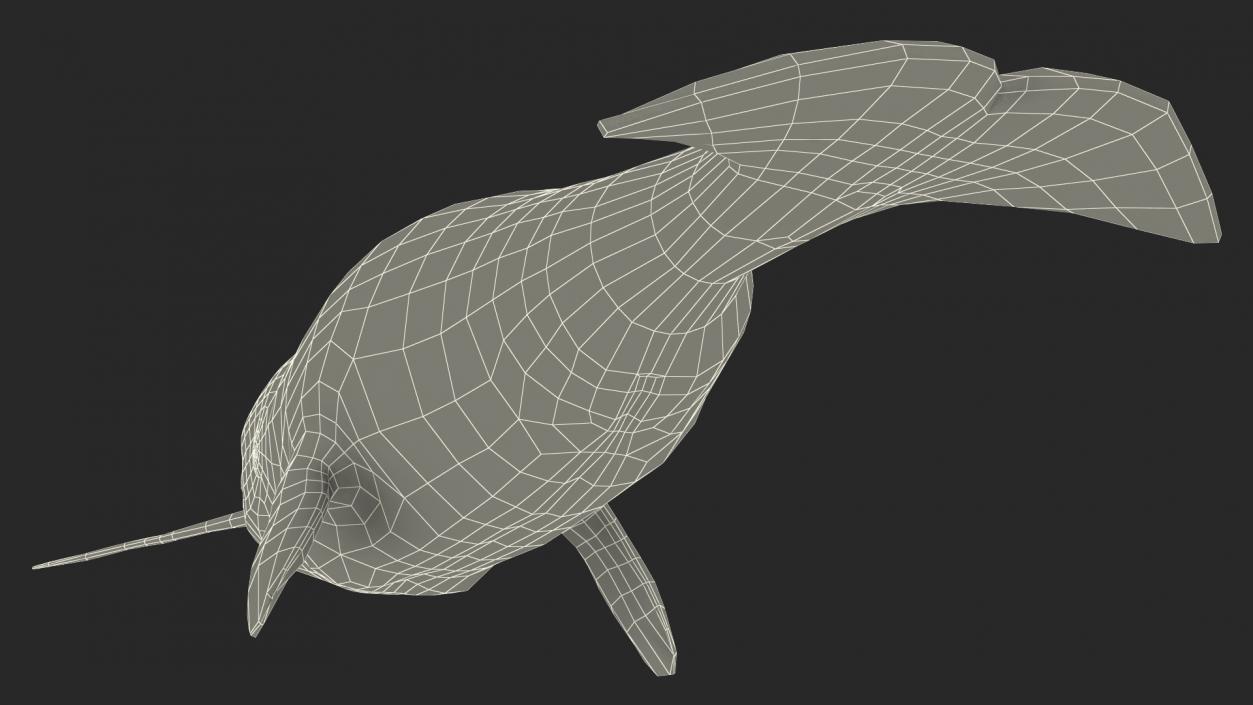 3D Narwhal Swimming Pose