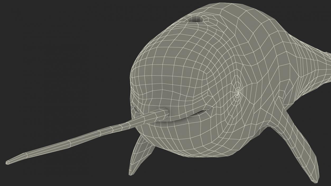 3D Narwhal Swimming Pose