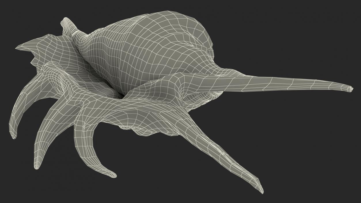 3D model Scorpio Spider Shell