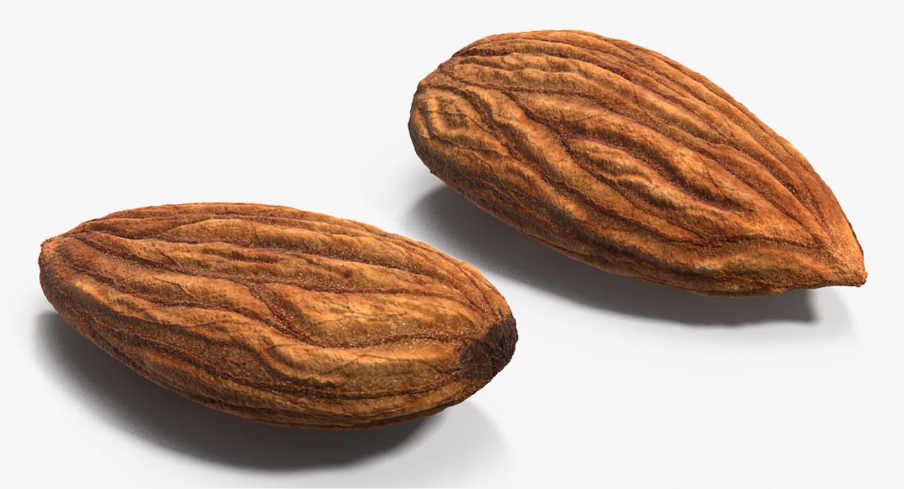 3D model Raw Almond