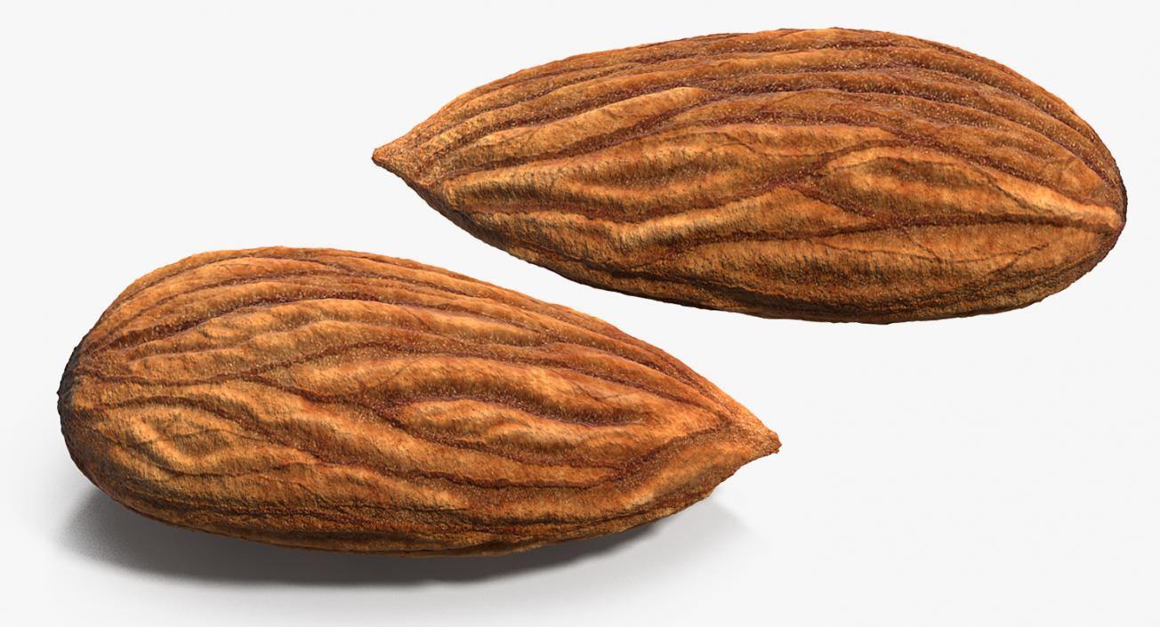 3D model Raw Almond