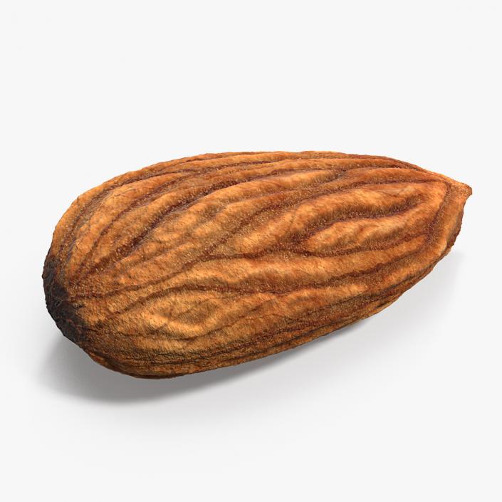 3D model Raw Almond