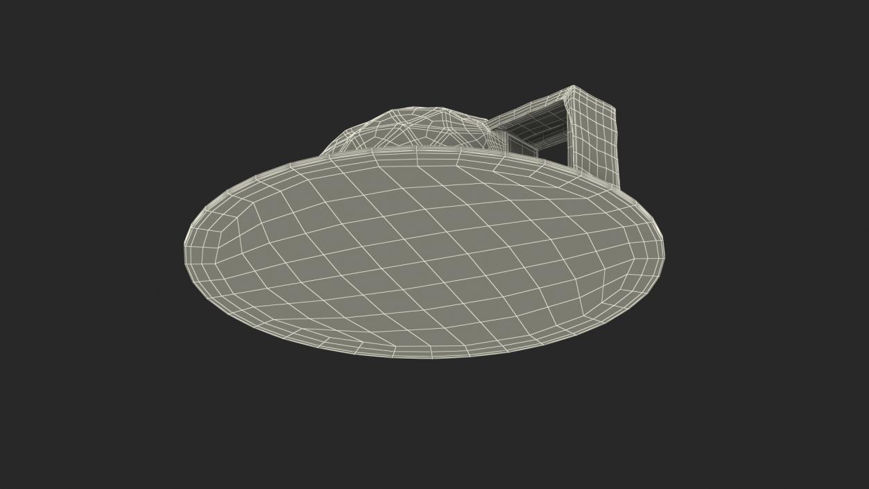 Eco Living Domes(1) 3D model