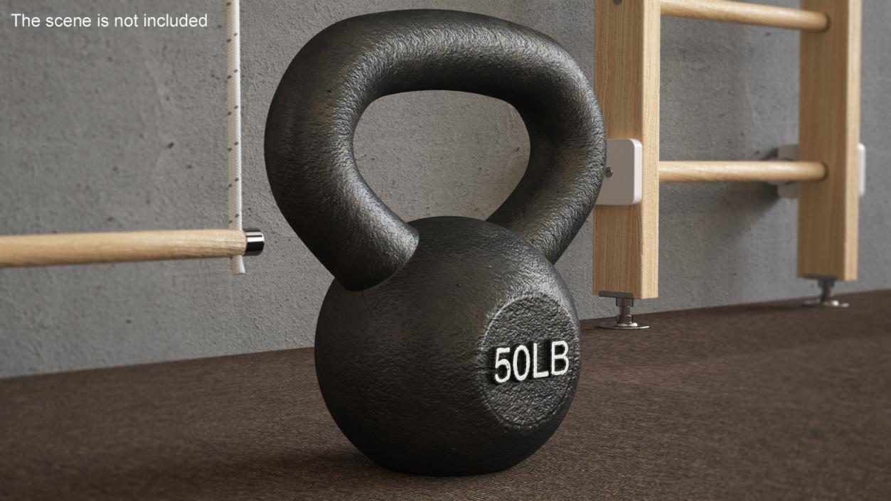 Iron Competition Kettlebell Weight 50lb(1) 3D