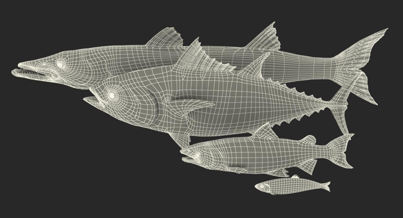 Fishes Collection 2 3D model