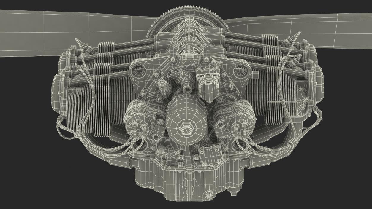 3D Piston Aero Engine model