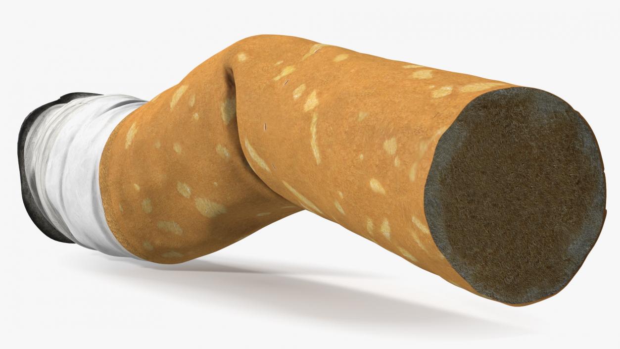 Realistic Used Cigarette Butt 3D model