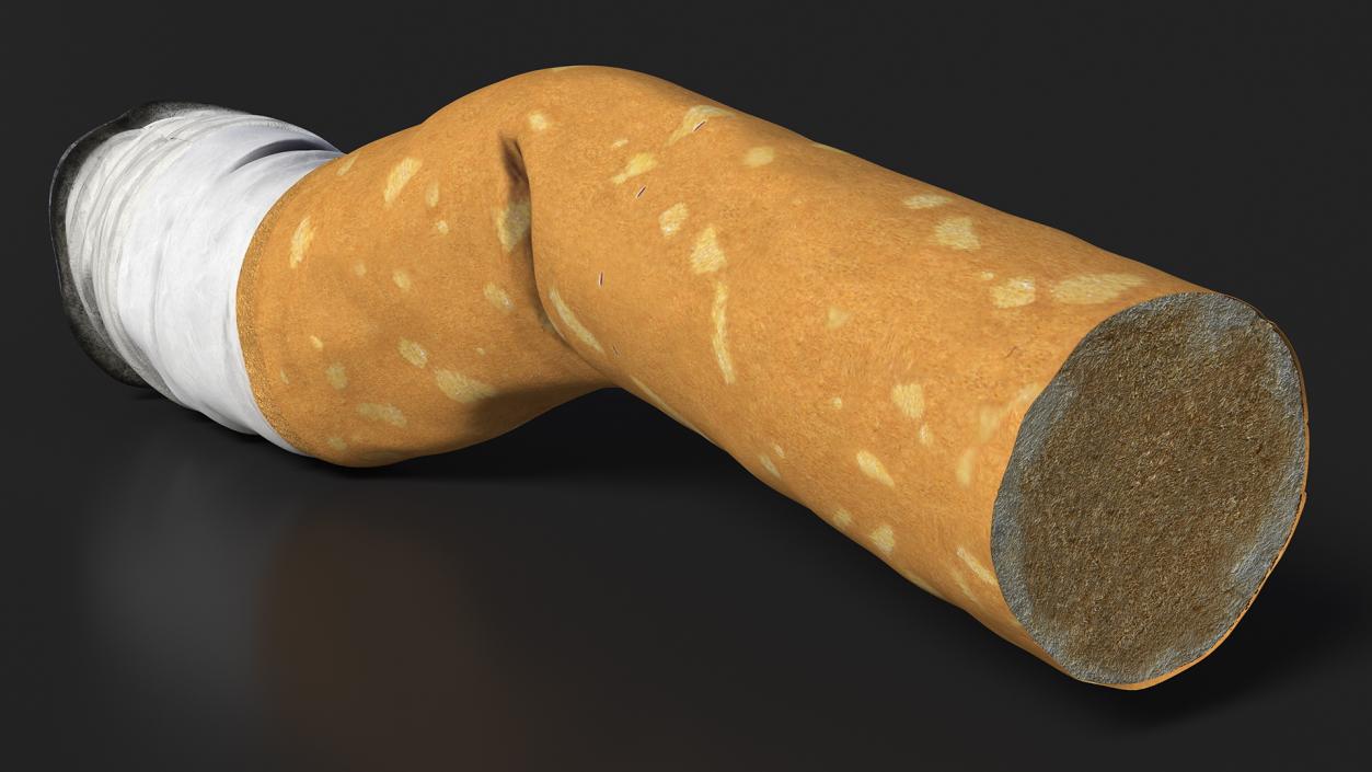 Realistic Used Cigarette Butt 3D model