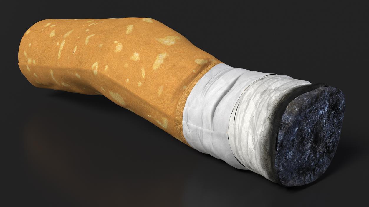 Realistic Used Cigarette Butt 3D model