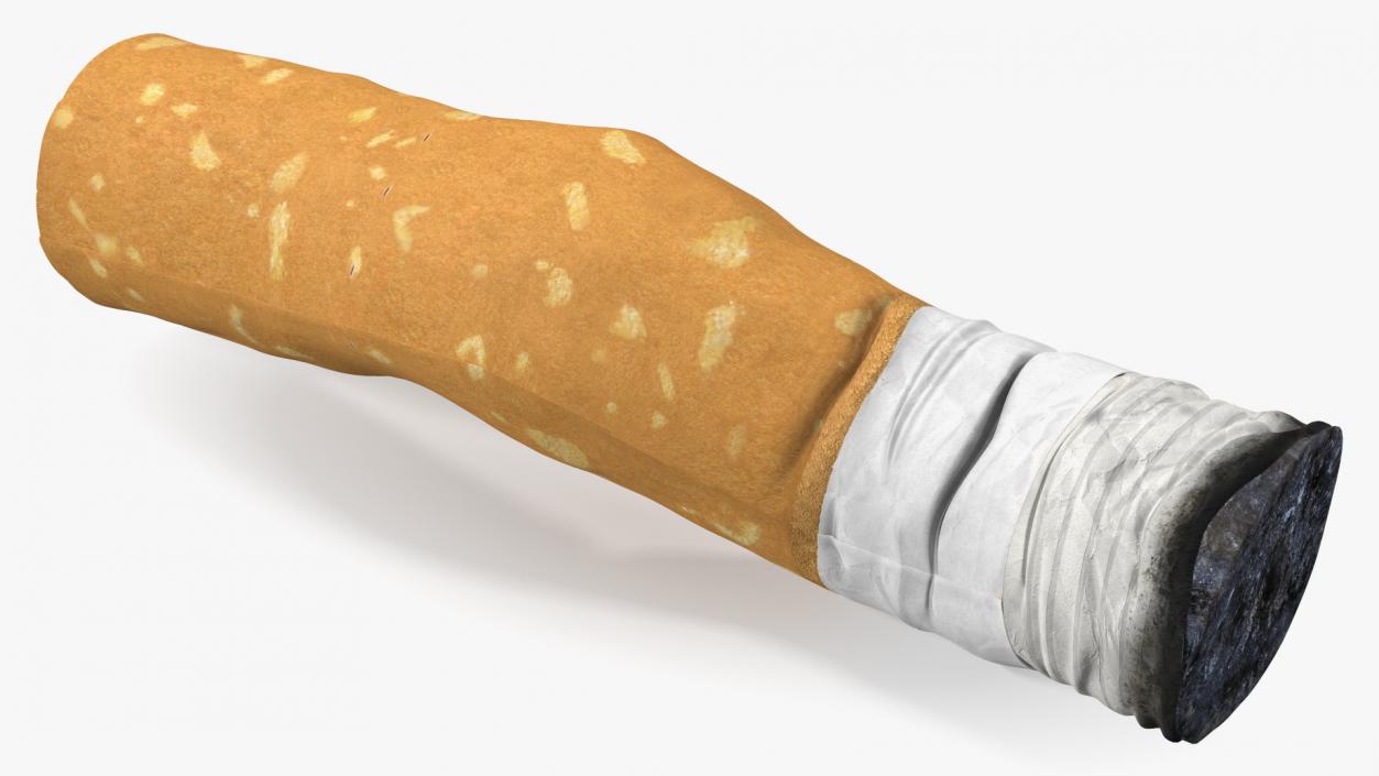 Realistic Used Cigarette Butt 3D model