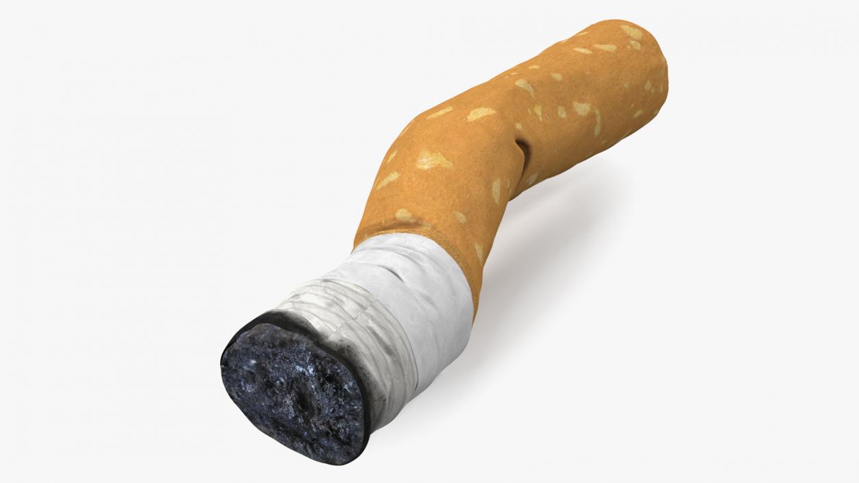 Realistic Used Cigarette Butt 3D model