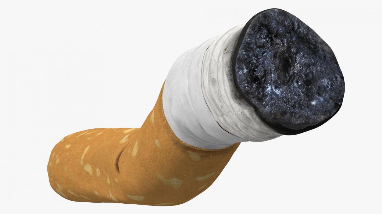 Realistic Used Cigarette Butt 3D model