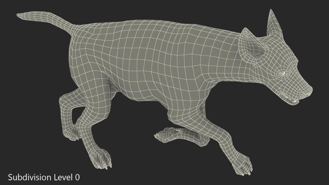 3D Hyena Running Pose model