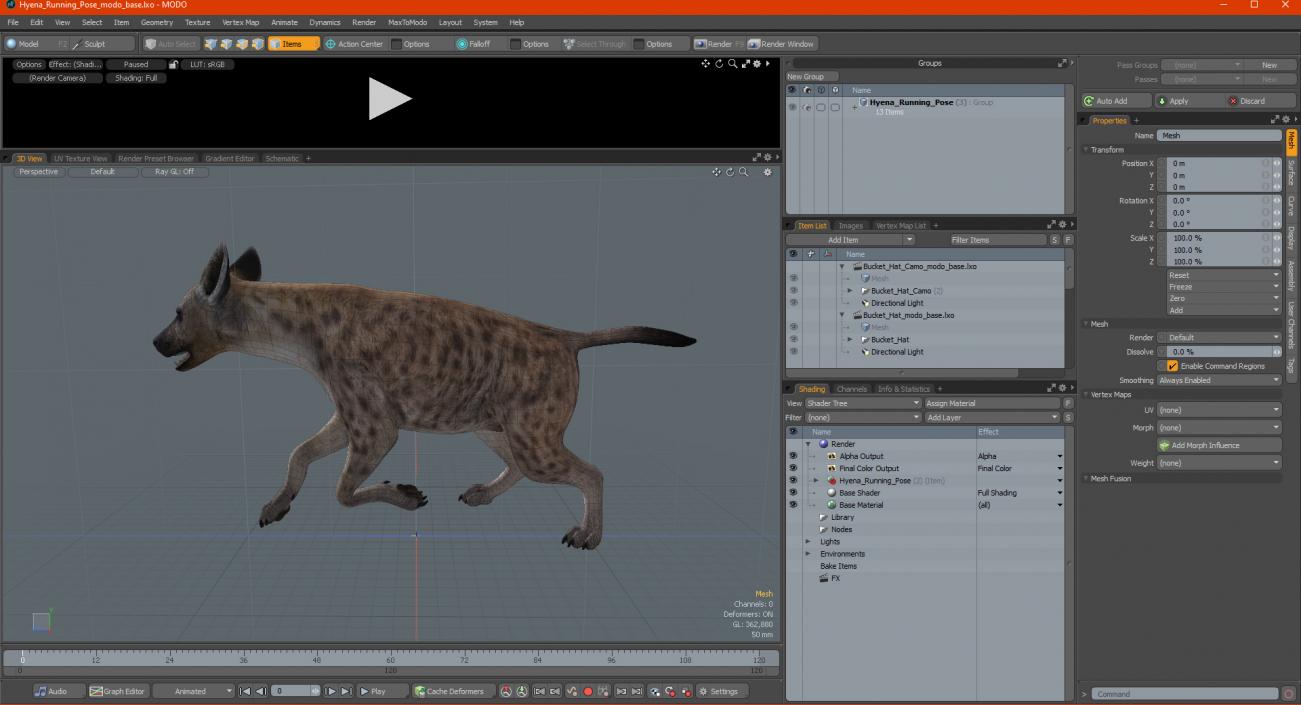 3D Hyena Running Pose model