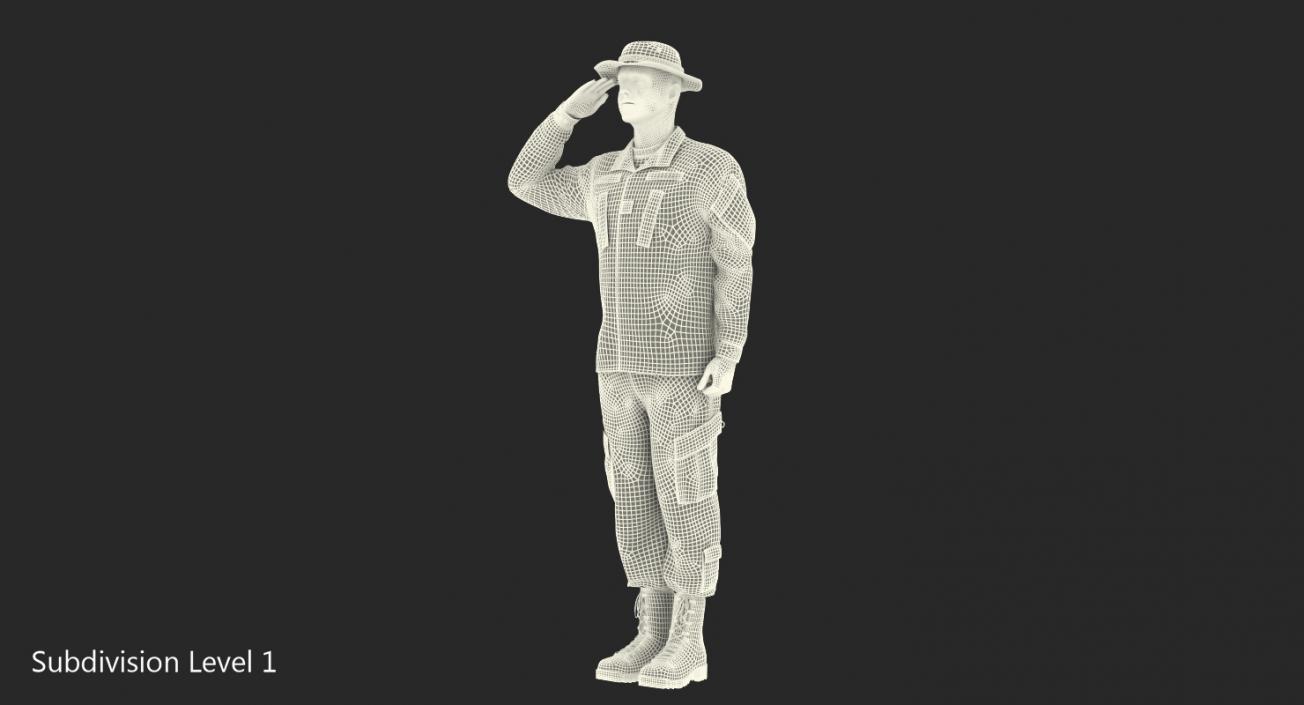 US Army Soldier Camo Saluting 3D model