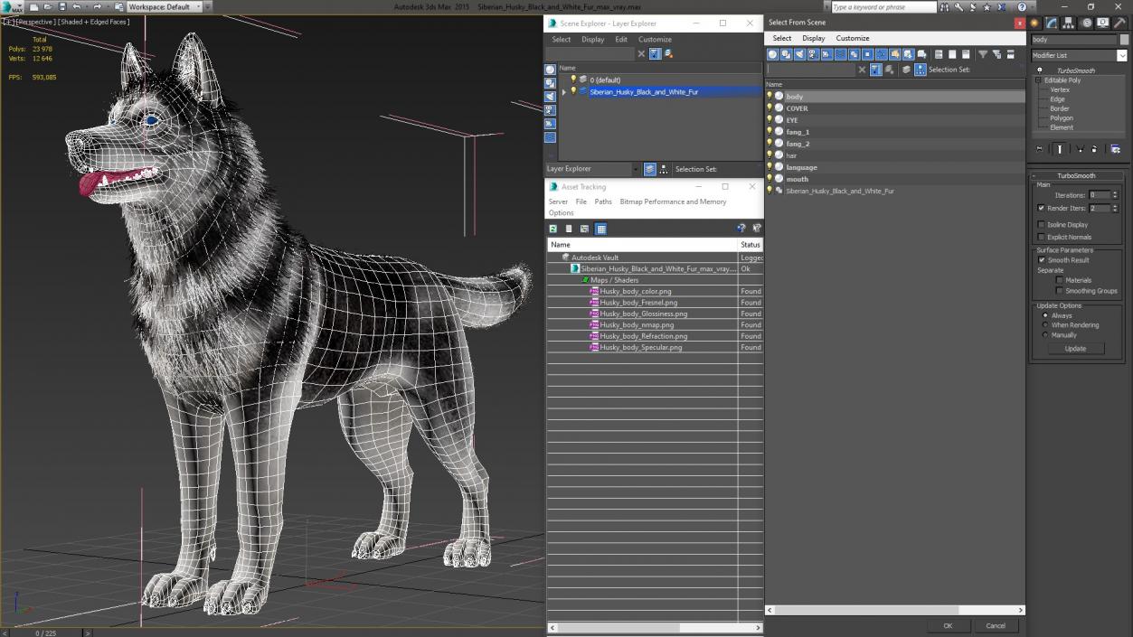 Siberian Husky Black and White Fur 3D model