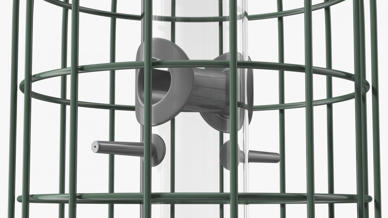 Caged Bird Feeder 3D