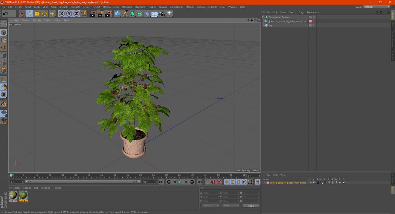 3D Potted Small Fig Tree with Fruits model