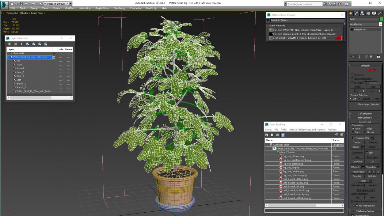 3D Potted Small Fig Tree with Fruits model