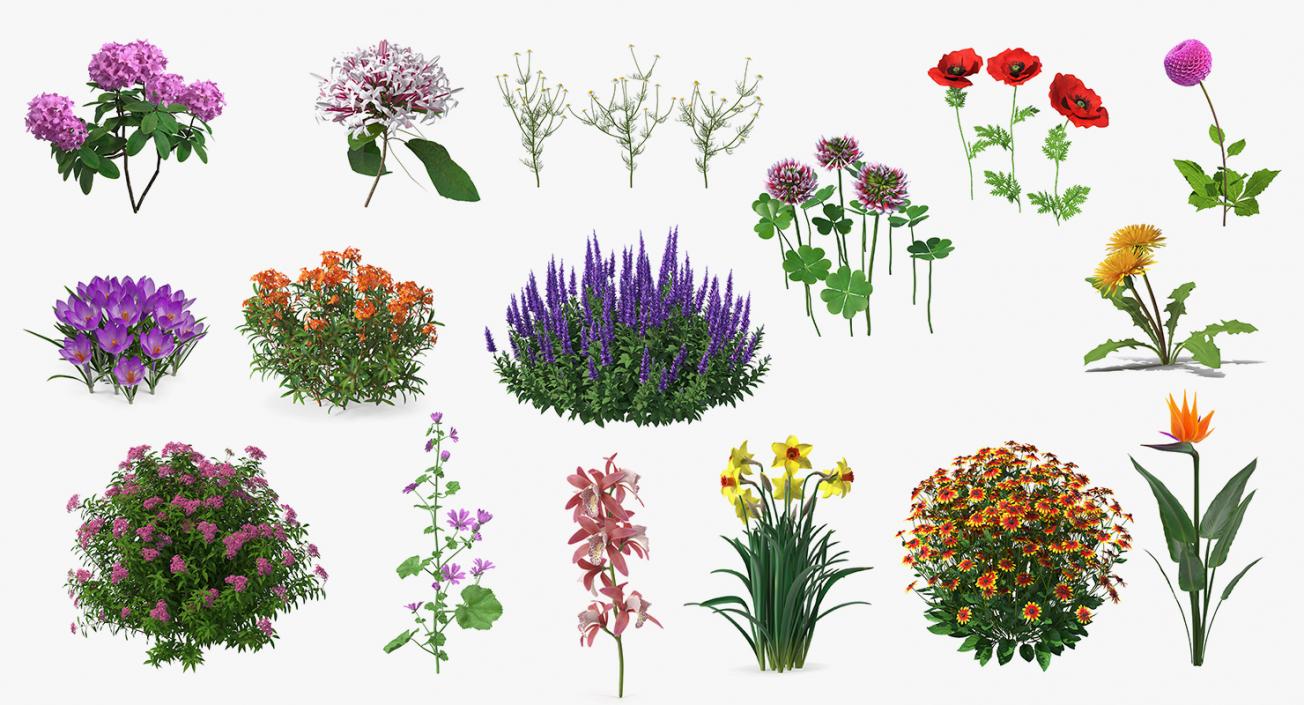 3D model Flowering Plants Collection 12