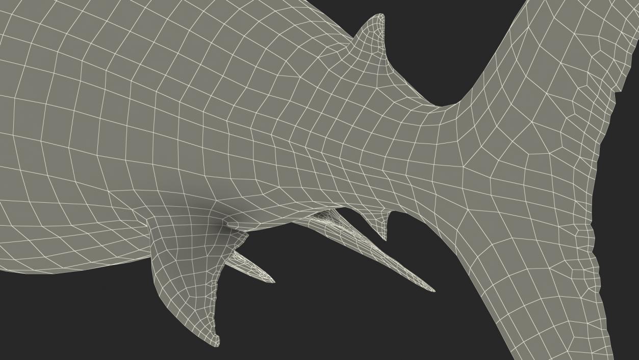 3D Megalodon Swimming Pose model